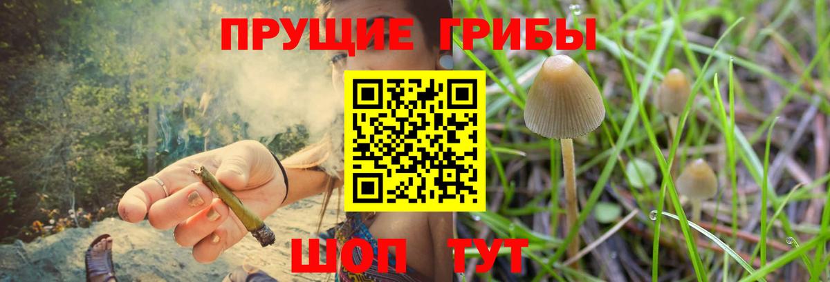Пыть-Ях  Псилоцибиновые грибы ЛСД  Вход с VPN 